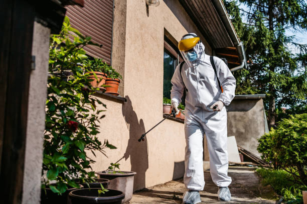 Best Pest Control for Homes  in Dumfries, VA