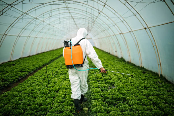 Best Pest Control Near Me  in Dumfries, VA