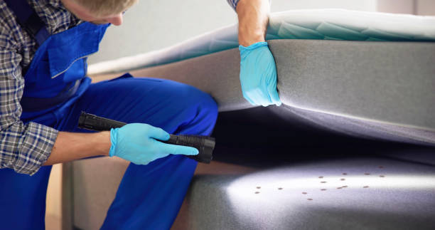 Best Best Pest Control Companies  in Dumfries, VA